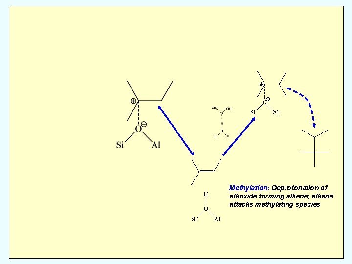 Methylation: Deprotonation of alkoxide forming alkene; alkene attacks methylating species 