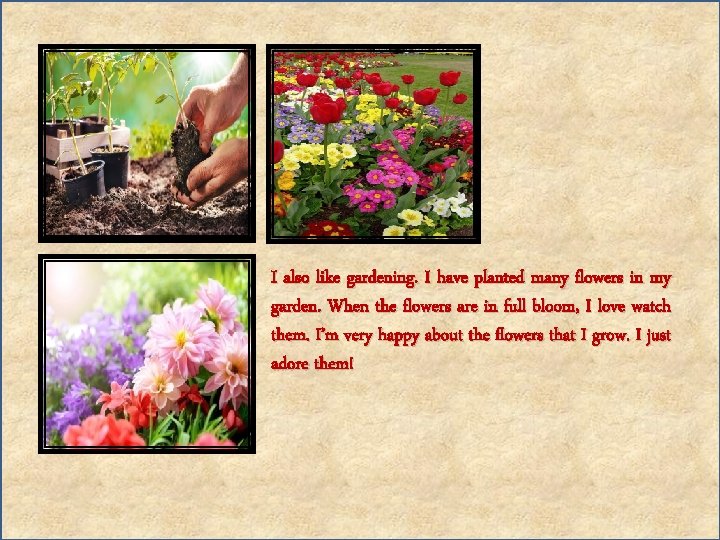 I also like gardening. I have planted many flowers in my garden. When the