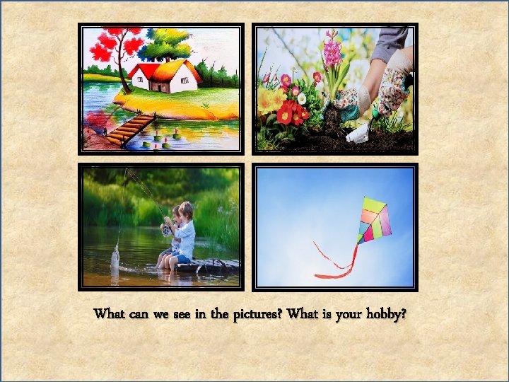 What can we see in the pictures? What is your hobby? 