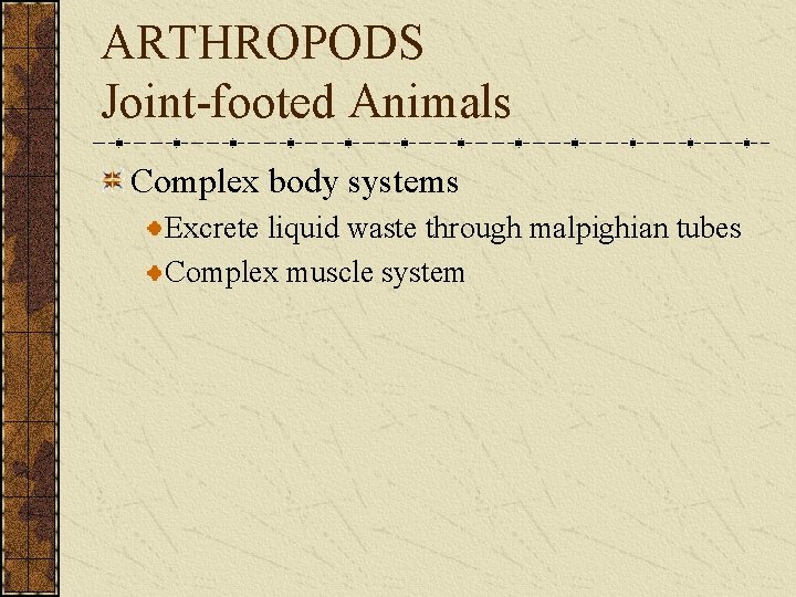 ARTHROPODS Joint-footed Animals Complex body systems Excrete liquid waste through malpighian tubes Complex muscle