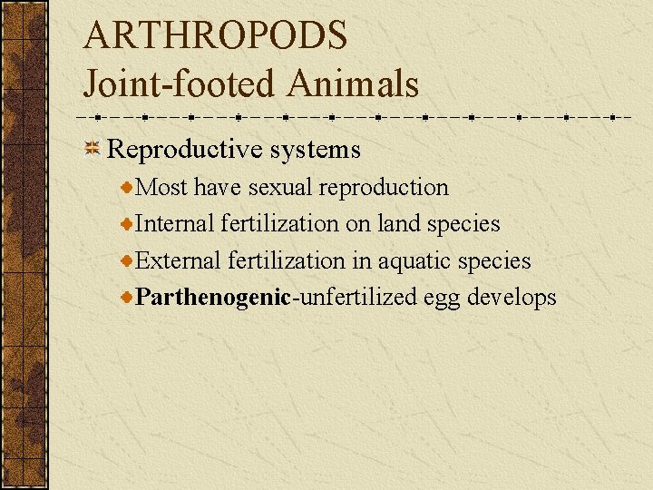 ARTHROPODS Joint-footed Animals Reproductive systems Most have sexual reproduction Internal fertilization on land species