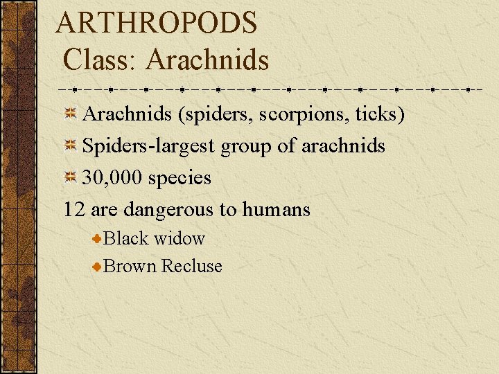 ARTHROPODS Class: Arachnids (spiders, scorpions, ticks) Spiders-largest group of arachnids 30, 000 species 12