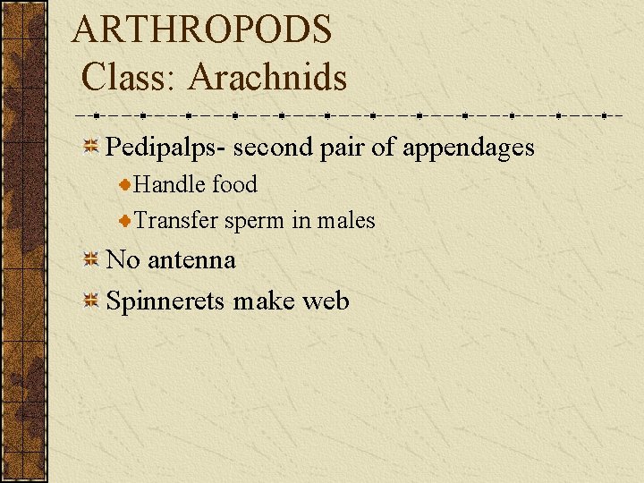 ARTHROPODS Class: Arachnids Pedipalps- second pair of appendages Handle food Transfer sperm in males