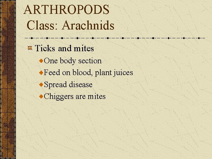ARTHROPODS Class: Arachnids Ticks and mites One body section Feed on blood, plant juices