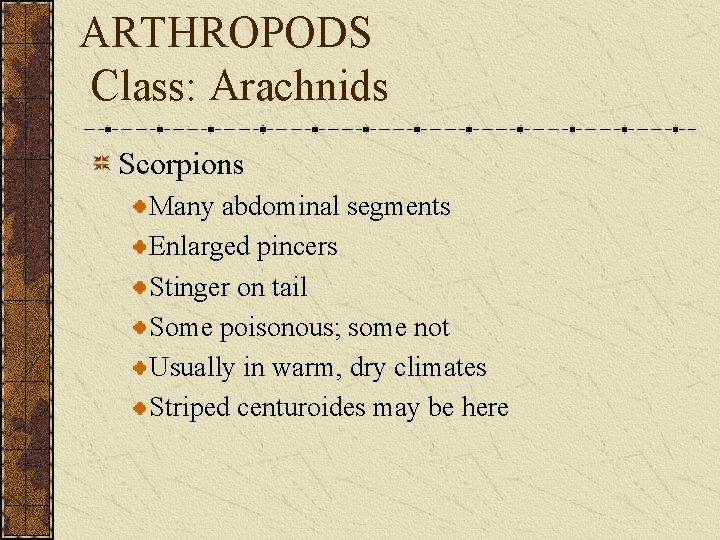ARTHROPODS Class: Arachnids Scorpions Many abdominal segments Enlarged pincers Stinger on tail Some poisonous;