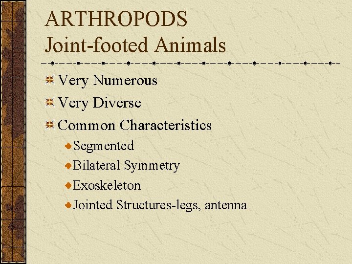 ARTHROPODS Joint-footed Animals Very Numerous Very Diverse Common Characteristics Segmented Bilateral Symmetry Exoskeleton Jointed