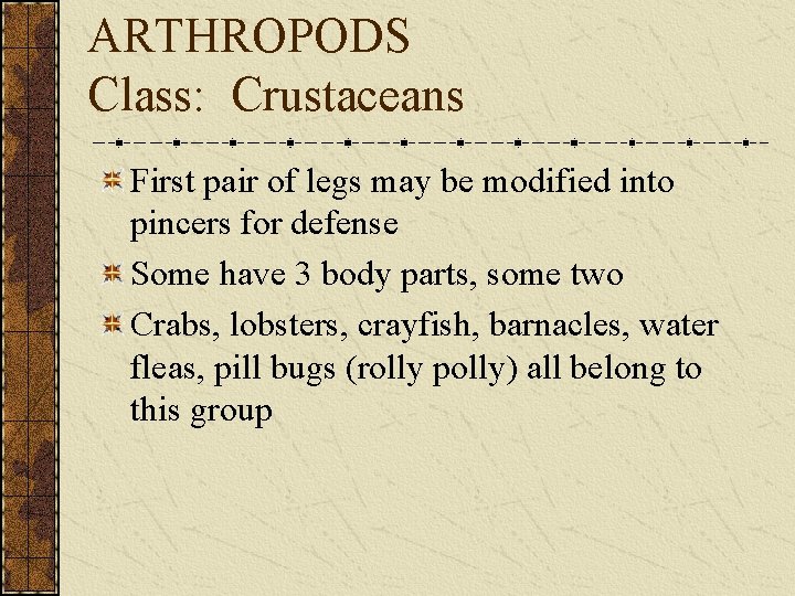 ARTHROPODS Class: Crustaceans First pair of legs may be modified into pincers for defense