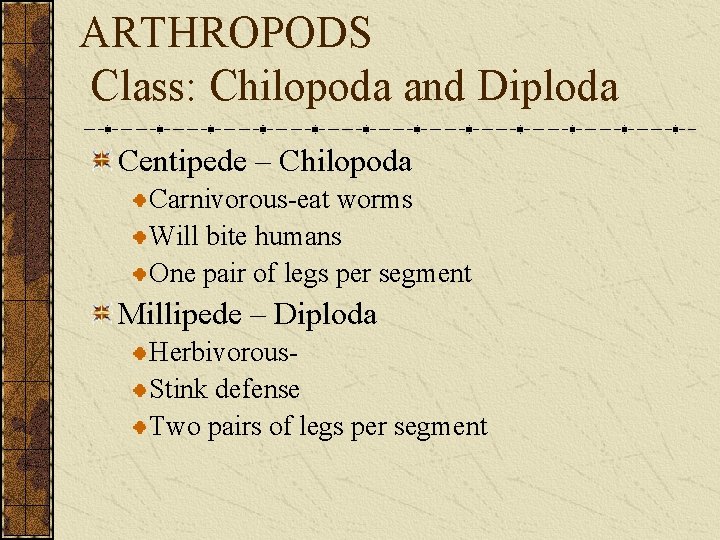 ARTHROPODS Class: Chilopoda and Diploda Centipede – Chilopoda Carnivorous-eat worms Will bite humans One