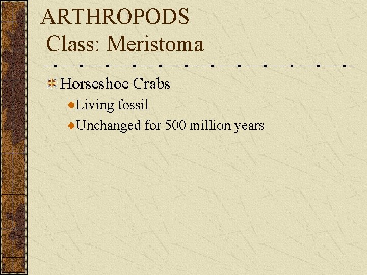 ARTHROPODS Class: Meristoma Horseshoe Crabs Living fossil Unchanged for 500 million years 