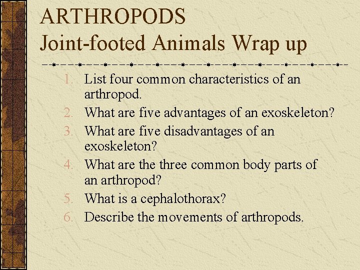 ARTHROPODS Joint-footed Animals Wrap up 1. List four common characteristics of an arthropod. 2.