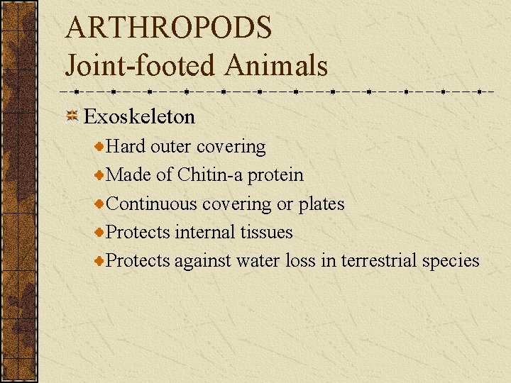 ARTHROPODS Joint-footed Animals Exoskeleton Hard outer covering Made of Chitin-a protein Continuous covering or