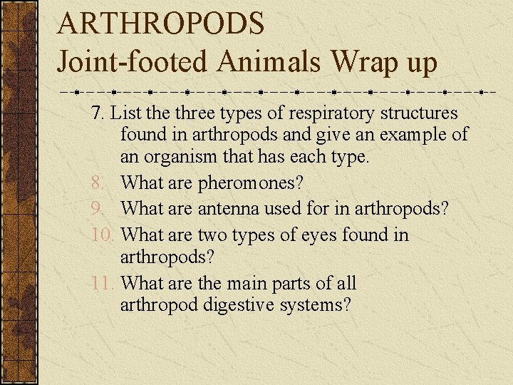 ARTHROPODS Joint-footed Animals Wrap up 7. List the three types of respiratory structures found