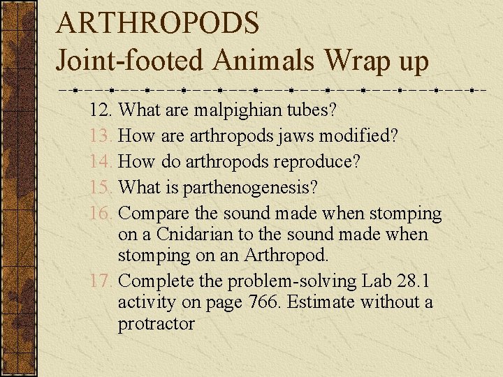 ARTHROPODS Joint-footed Animals Wrap up 12. What are malpighian tubes? 13. How are arthropods