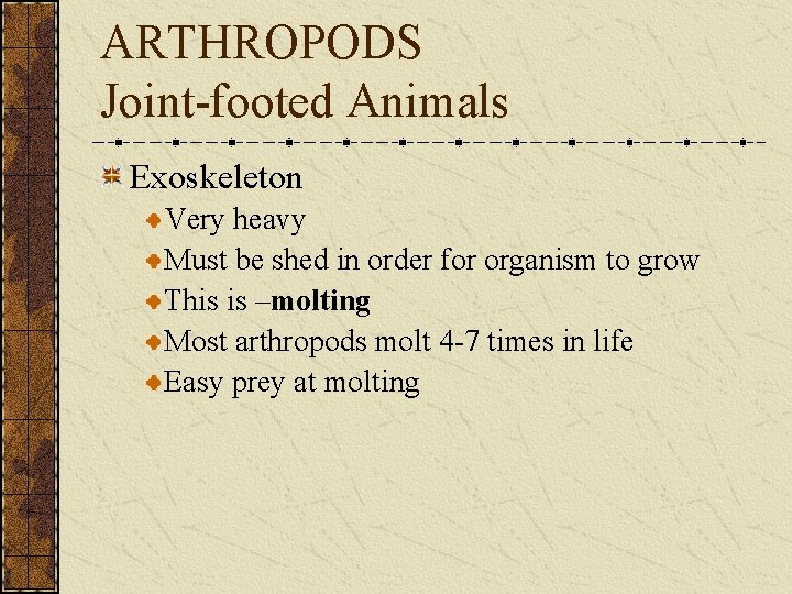ARTHROPODS Joint-footed Animals Exoskeleton Very heavy Must be shed in order for organism to