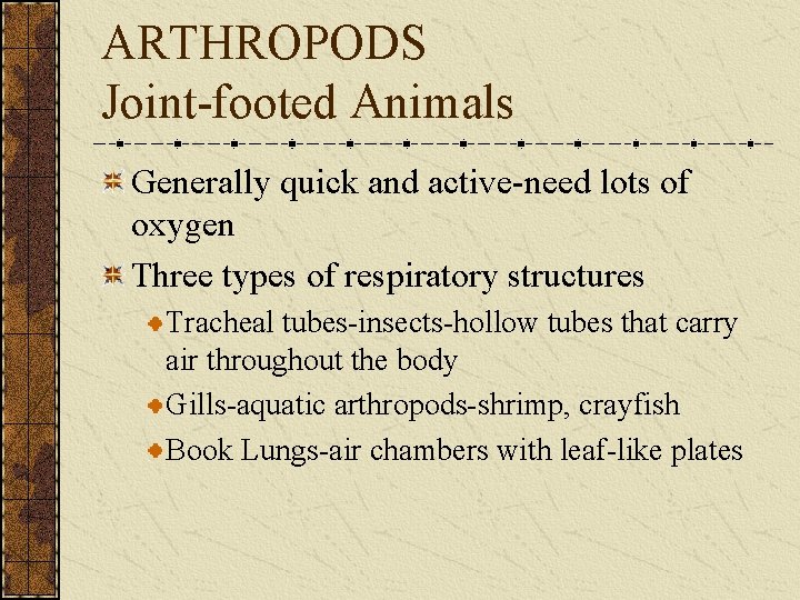 ARTHROPODS Joint-footed Animals Generally quick and active-need lots of oxygen Three types of respiratory