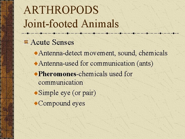 ARTHROPODS Joint-footed Animals Acute Senses Antenna-detect movement, sound, chemicals Antenna-used for communication (ants) Pheromones-chemicals