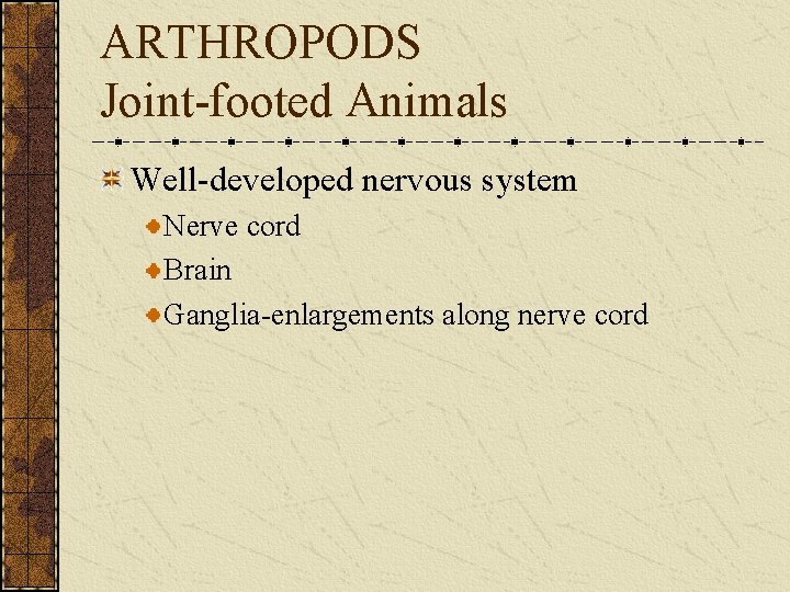 ARTHROPODS Joint-footed Animals Well-developed nervous system Nerve cord Brain Ganglia-enlargements along nerve cord 