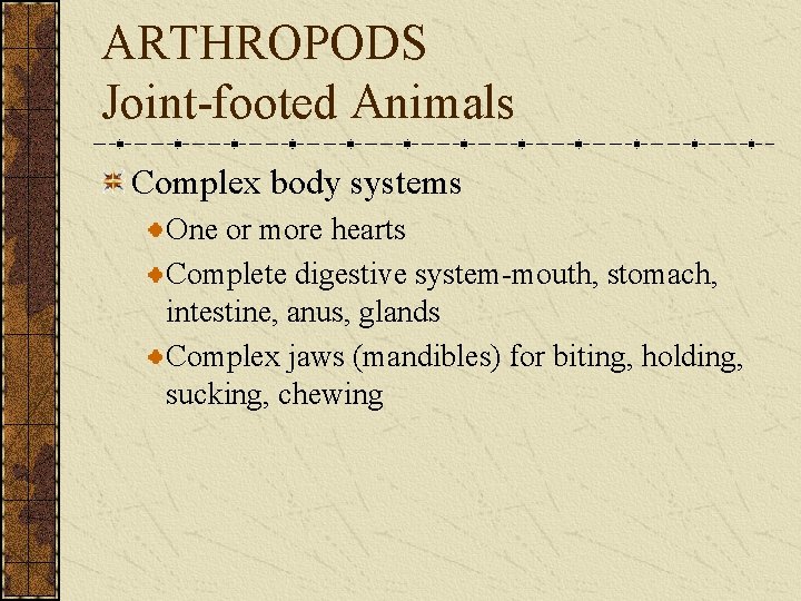 ARTHROPODS Joint-footed Animals Complex body systems One or more hearts Complete digestive system-mouth, stomach,