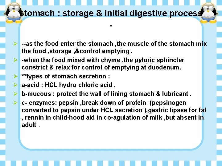 stomach : storage & initial digestive process. Ø --as the food enter the stomach