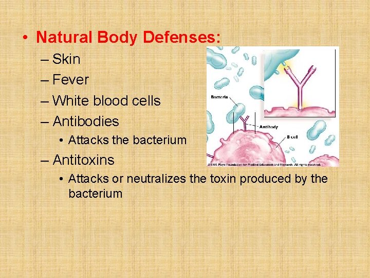 • Natural Body Defenses: – Skin – Fever – White blood cells –