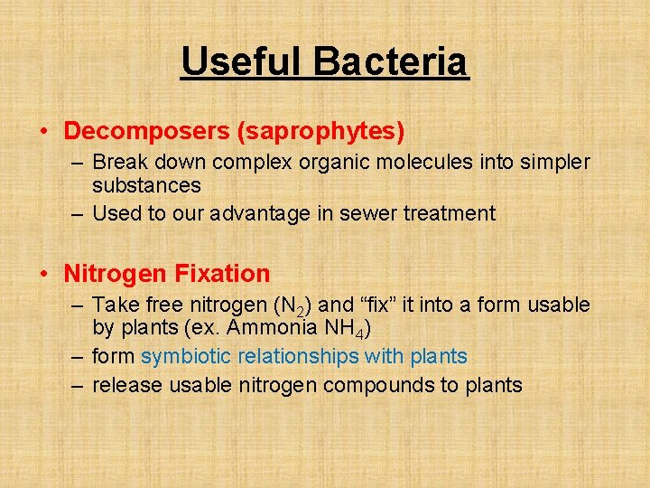 Useful Bacteria • Decomposers (saprophytes) – Break down complex organic molecules into simpler substances
