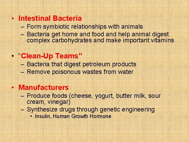  • Intestinal Bacteria – Form symbiotic relationships with animals – Bacteria get home