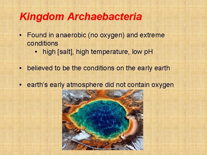 Kingdom Archaebacteria • Found in anaerobic (no oxygen) and extreme conditions • high [salt],
