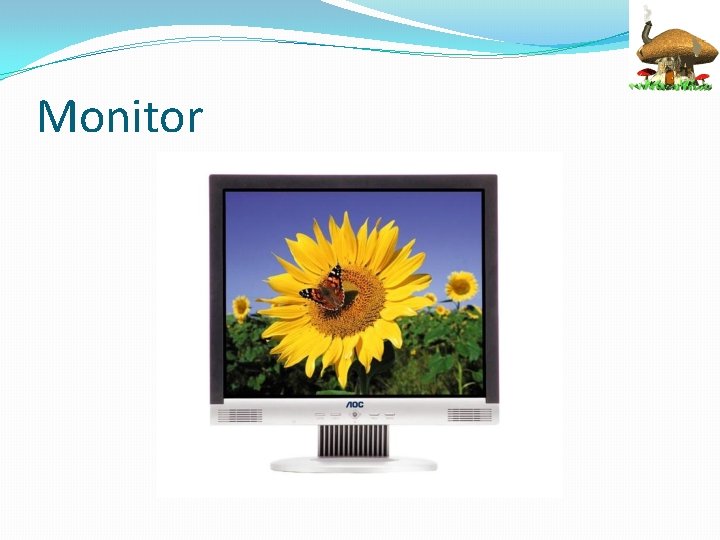 Monitor 