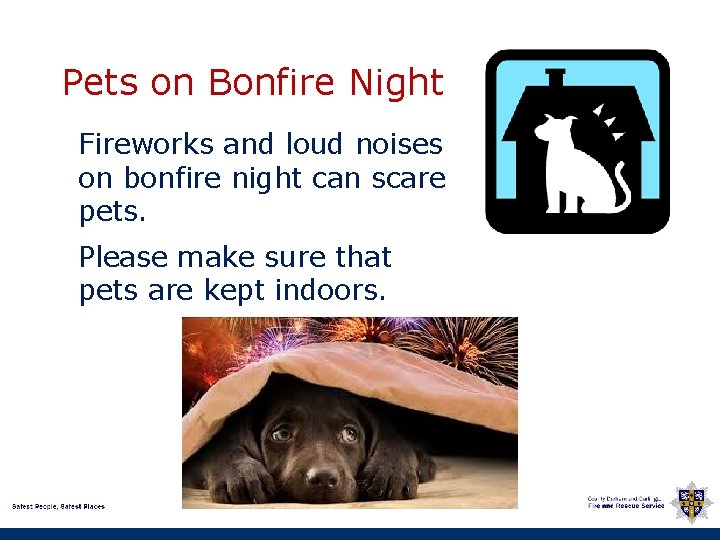 Pets on Bonfire Night Fireworks and loud noises on bonfire night can scare pets.