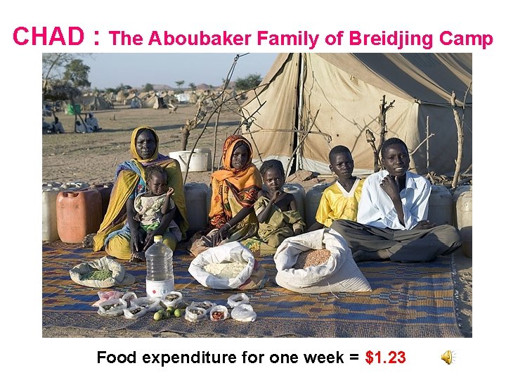 CHAD : The Aboubaker Family of Breidjing Camp Food expenditure for one week =