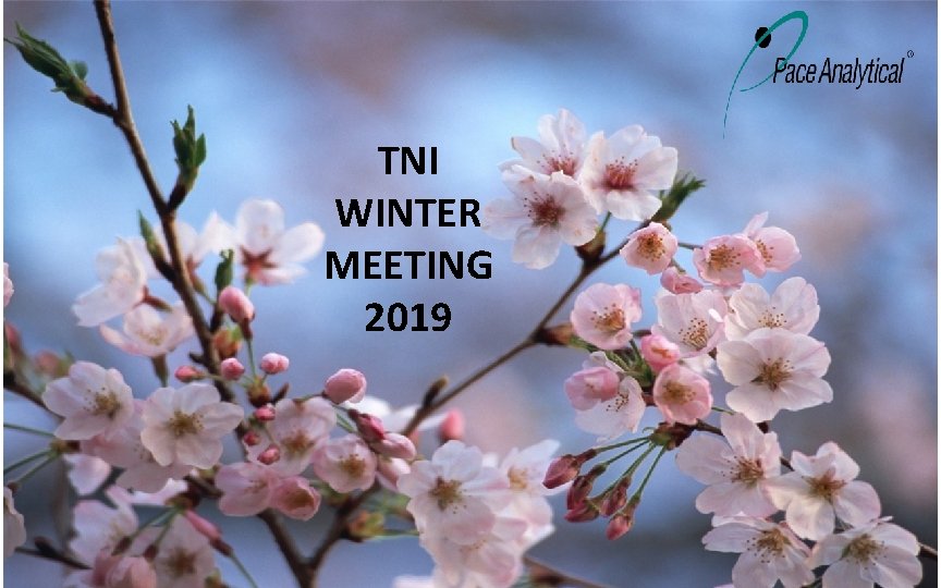 TNI WINTER MEETING 2019 