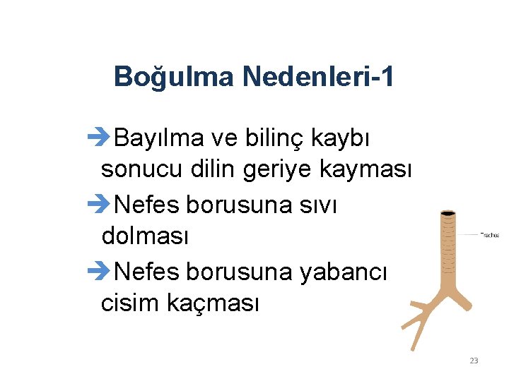 Boğulma Nedenleri-1 èBayılma ve bilinç kaybı sonucu dilin geriye kayması èNefes borusuna sıvı dolması