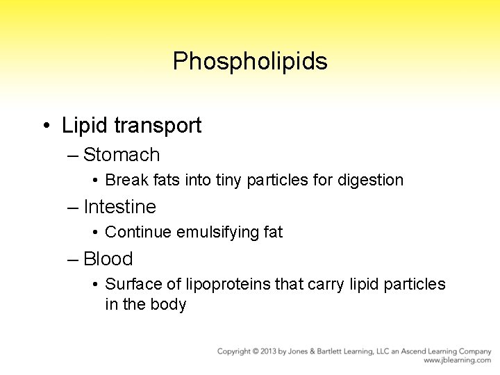 Phospholipids • Lipid transport – Stomach • Break fats into tiny particles for digestion