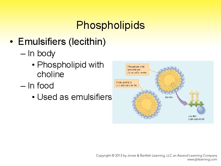 Phospholipids • Emulsifiers (lecithin) – In body • Phospholipid with choline – In food