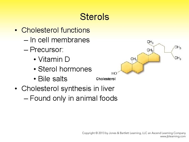 Sterols • Cholesterol functions – In cell membranes – Precursor: • Vitamin D •