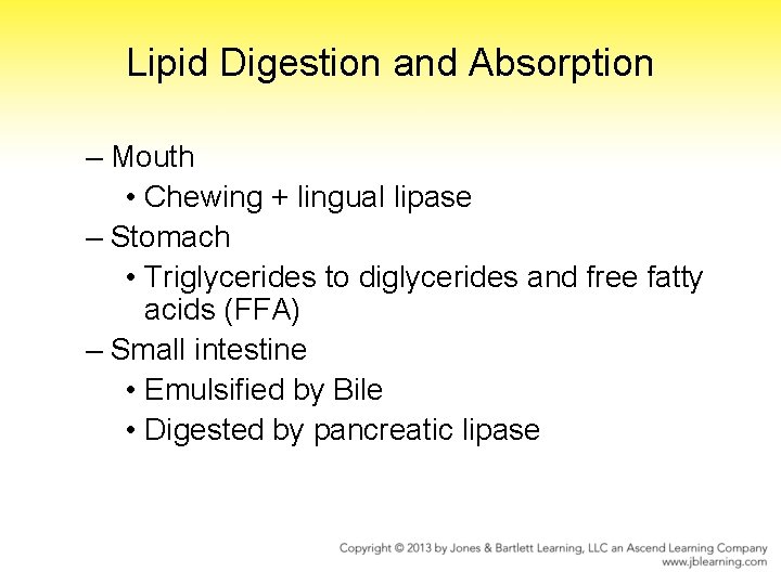 Lipid Digestion and Absorption – Mouth • Chewing + lingual lipase – Stomach •