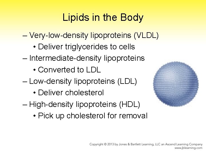 Lipids in the Body – Very-low-density lipoproteins (VLDL) • Deliver triglycerides to cells –