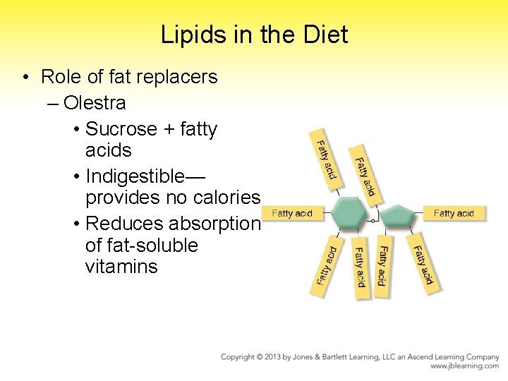 Lipids in the Diet • Role of fat replacers – Olestra • Sucrose +