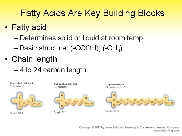Fatty Acids Are Key Building Blocks • Fatty acid – Determines solid or liquid