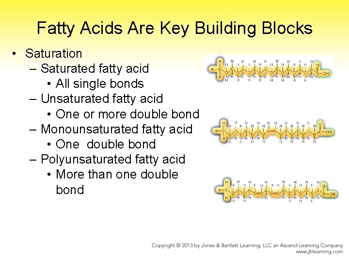 Fatty Acids Are Key Building Blocks • Saturation – Saturated fatty acid • All
