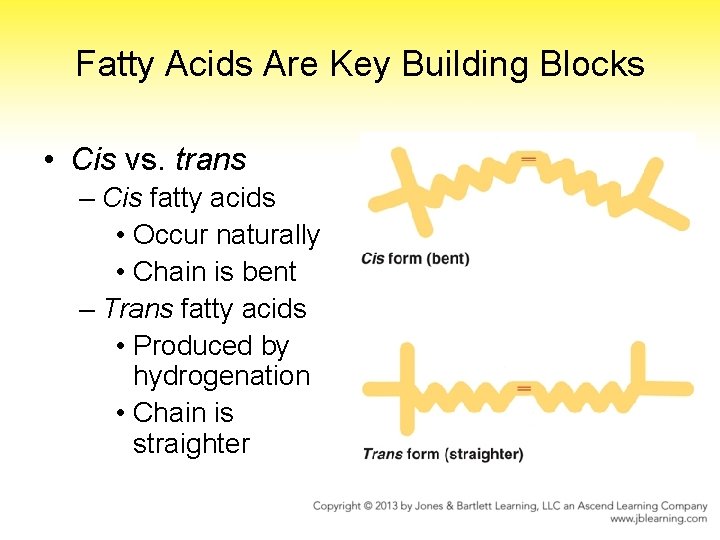 Fatty Acids Are Key Building Blocks • Cis vs. trans – Cis fatty acids