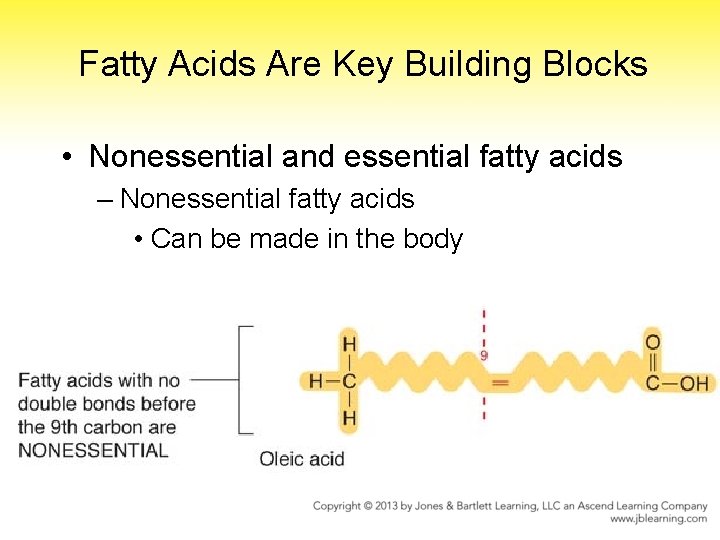 Fatty Acids Are Key Building Blocks • Nonessential and essential fatty acids – Nonessential