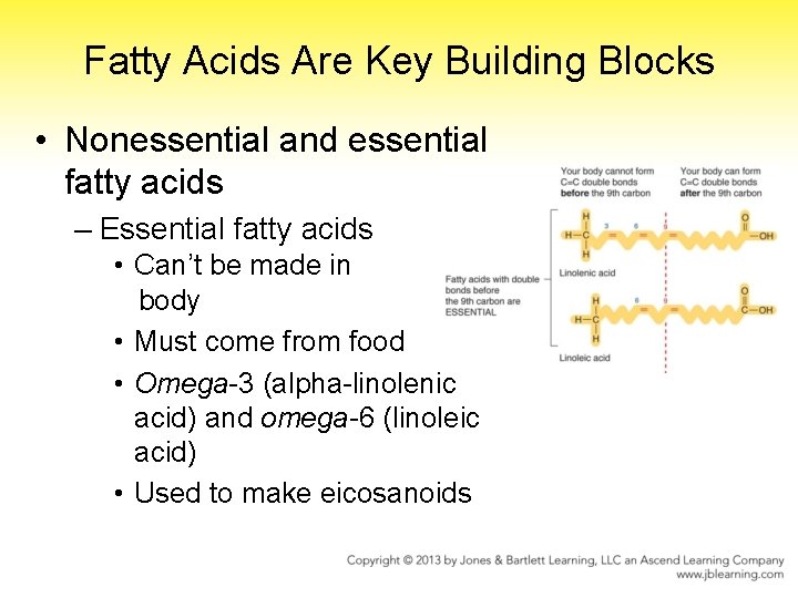 Fatty Acids Are Key Building Blocks • Nonessential and essential fatty acids – Essential