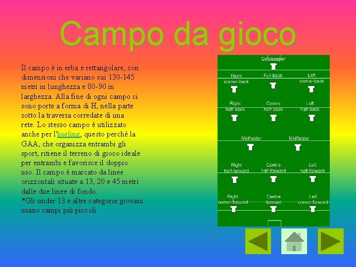 Campo da gioco Il campo è in erba e rettangolare, con dimensioni che variano