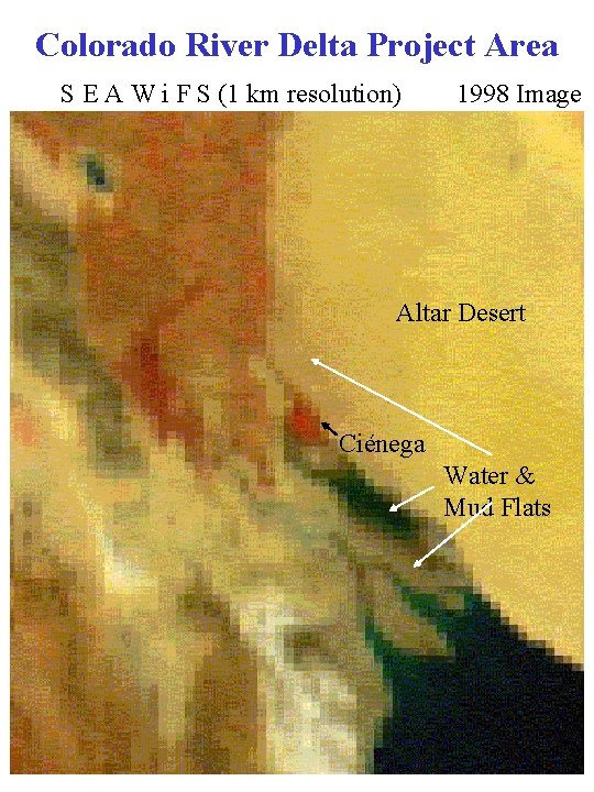 Colorado River Delta Project Area S E A W i F S (1 km