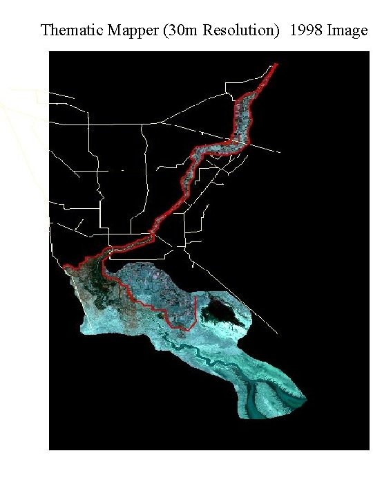 Thematic Mapper (30 m Resolution) 1998 Image 