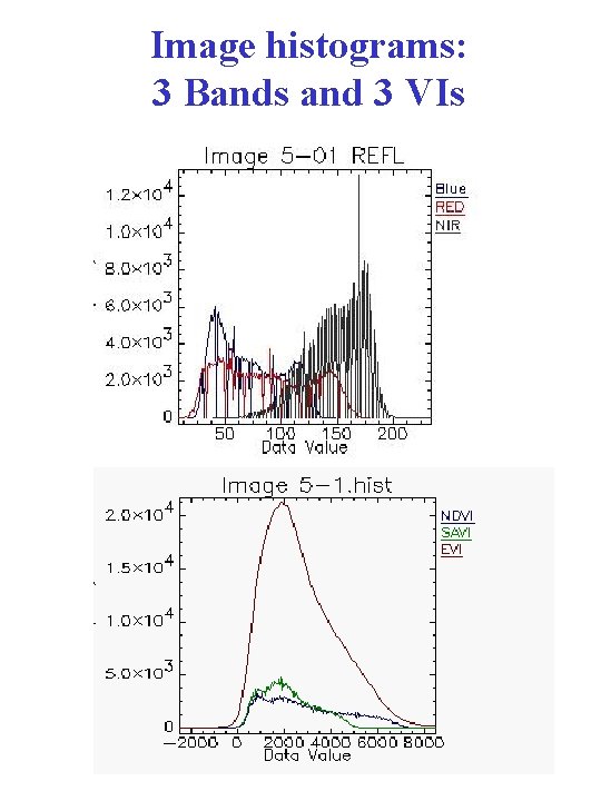 Image histograms: 3 Bands and 3 VIs 