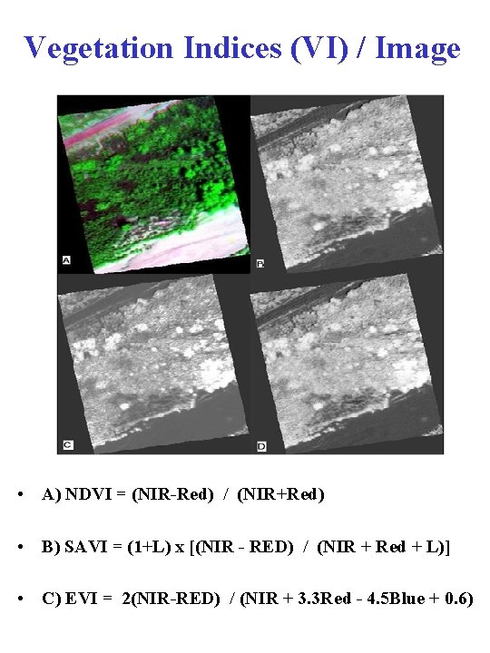 Vegetation Indices (VI) / Image • A) NDVI = (NIR-Red) / (NIR+Red) • B)