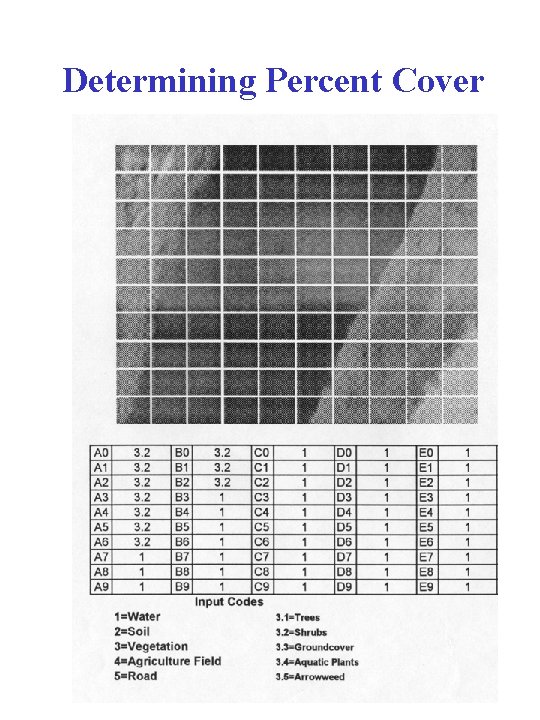 Determining Percent Cover 