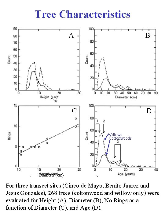 Tree Characteristics A B C D Willows Cottonwoods Diameter (cm) For three transect sites